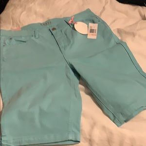 Curve Appeal brand new shorts Aqua Haze